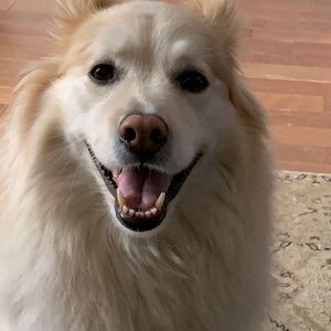 Meet your Posher, Spencer